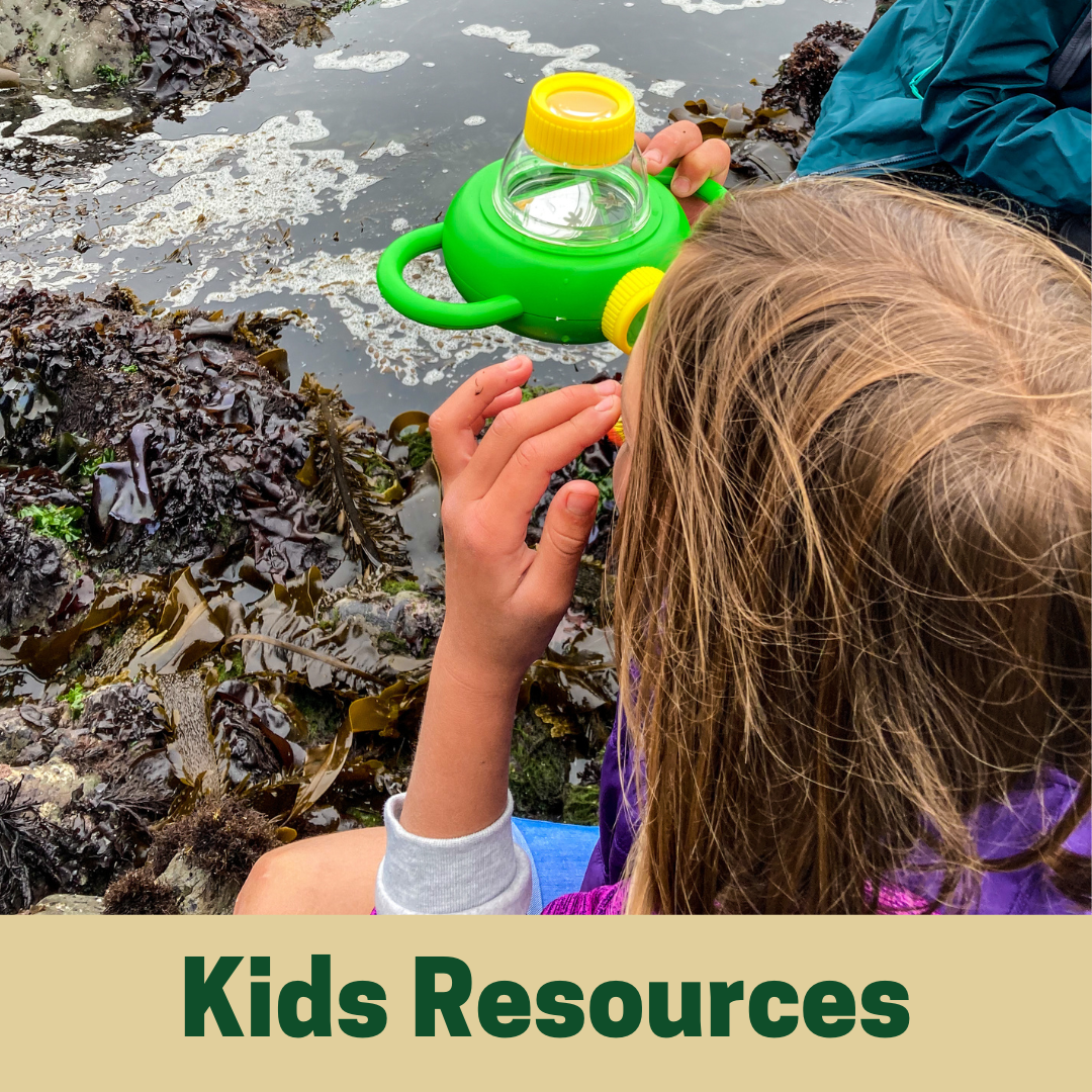 Kids Resources